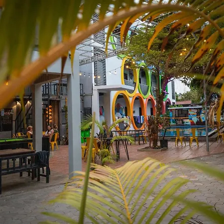 White Rabbit Hostel