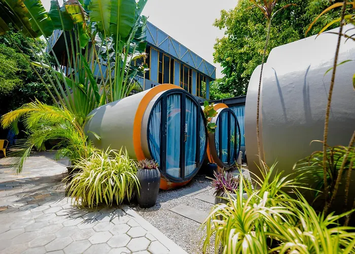 White Rabbit Hostel
