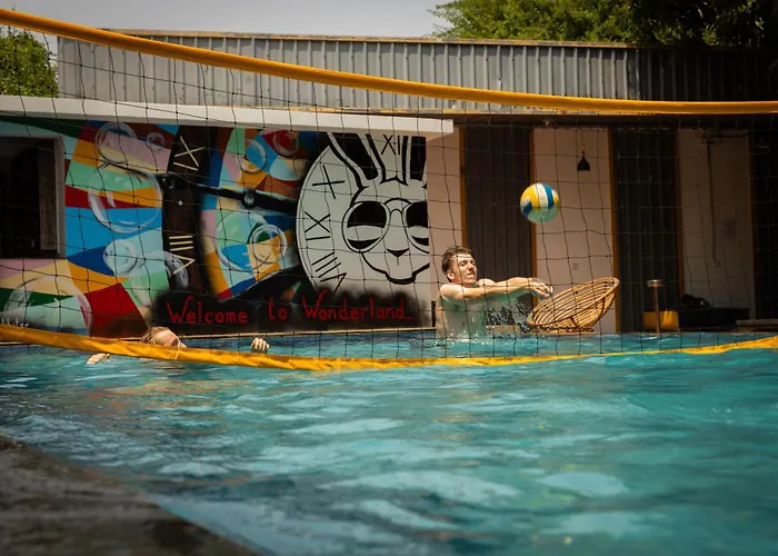 Hostel White Rabbit *
