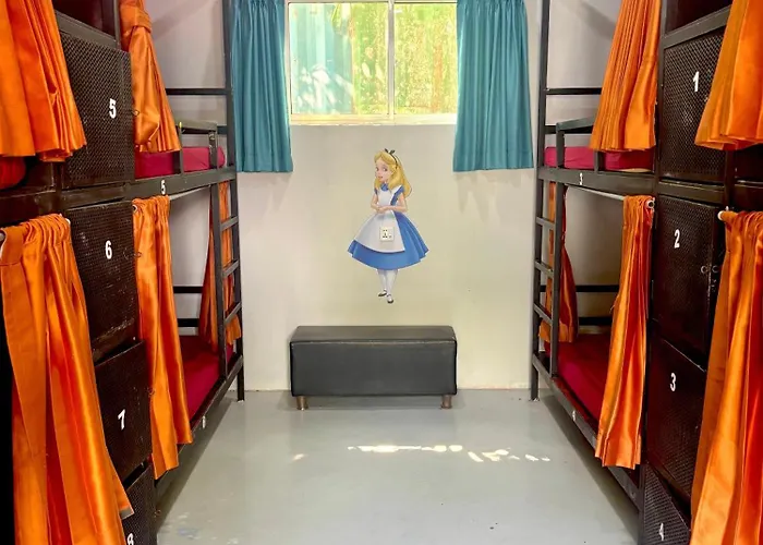 Hostel White Rabbit *