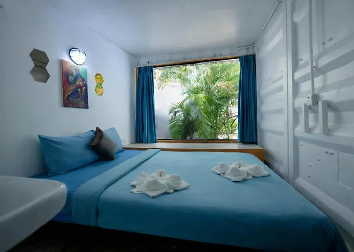 White Rabbit Hostel