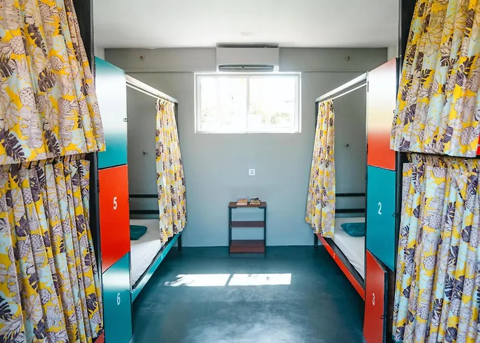 White Rabbit Hostel