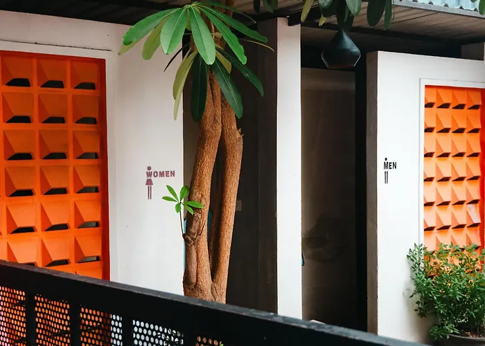 White Rabbit Hostel *